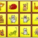 Cats Findiff 9 cats findiff